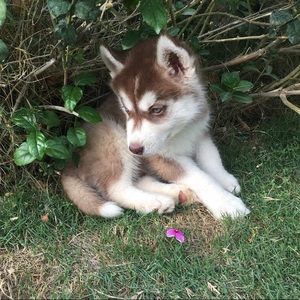 Meet your Posher, Nicole